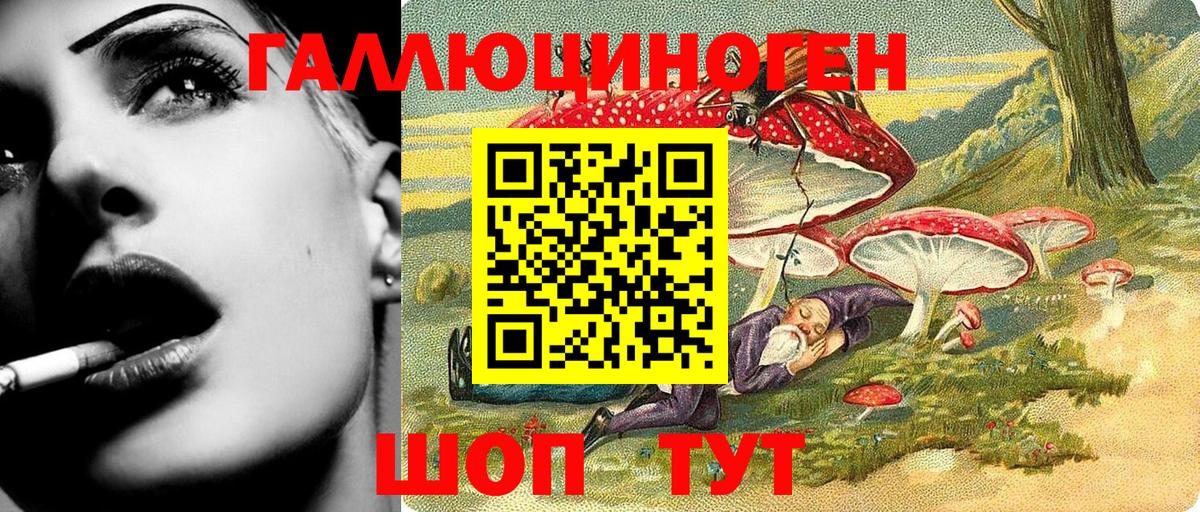 Галлюциногенные грибы Psilocybine cubensis Тайшет