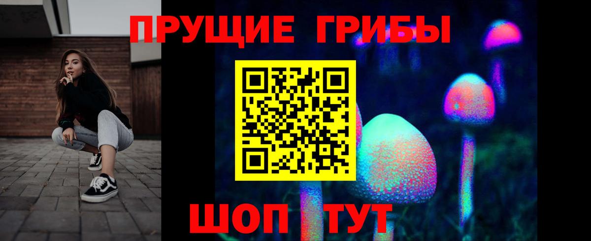 Тайшет  Псилоцибиновые грибы мухоморы  Вход с VPN 